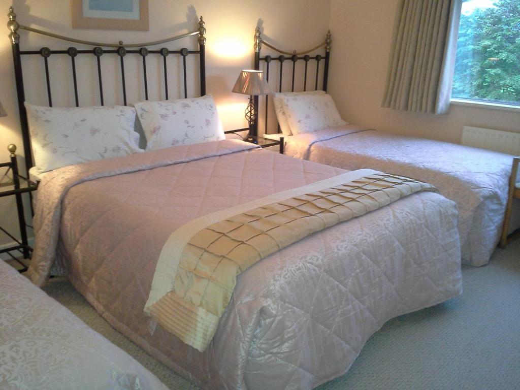 Fern Rock Bed And Breakfast Dromin Quarto foto